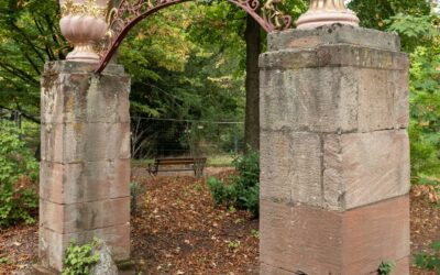 Schlossgarten