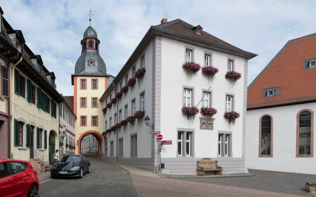 Politisches Bewusstsein 1848-49